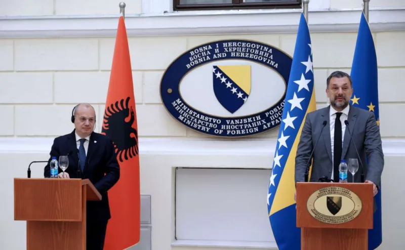 konakovic hasani