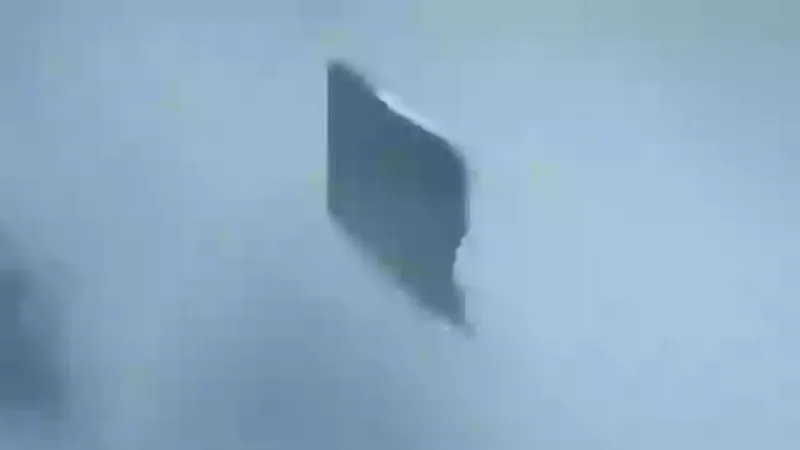 nlo