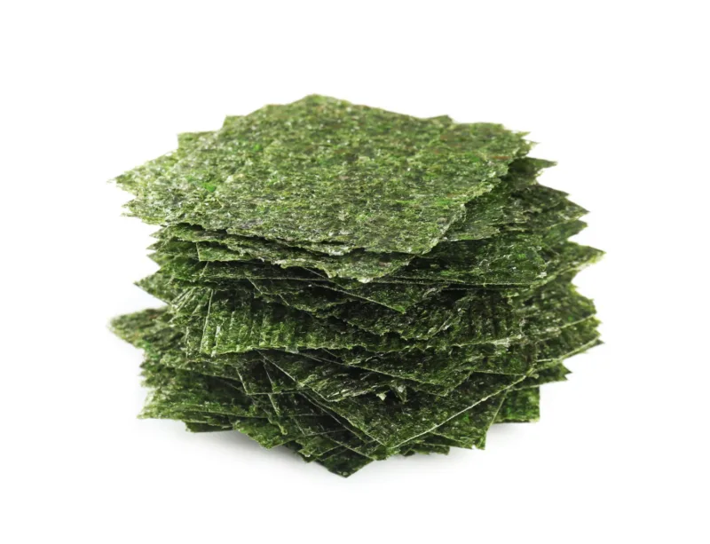 alga freepik
