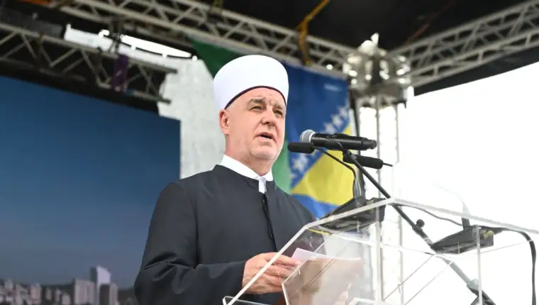 reis kavazovic