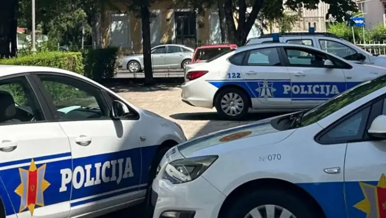 crna gora skole 4