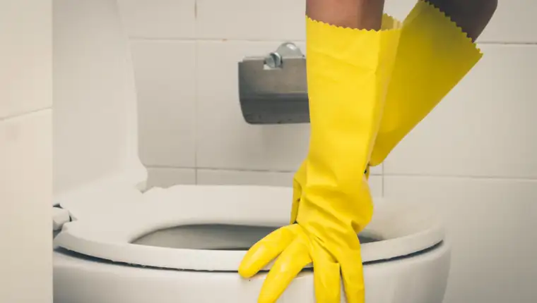 wc solja