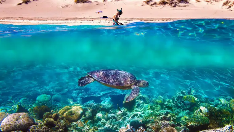 Ningaloo