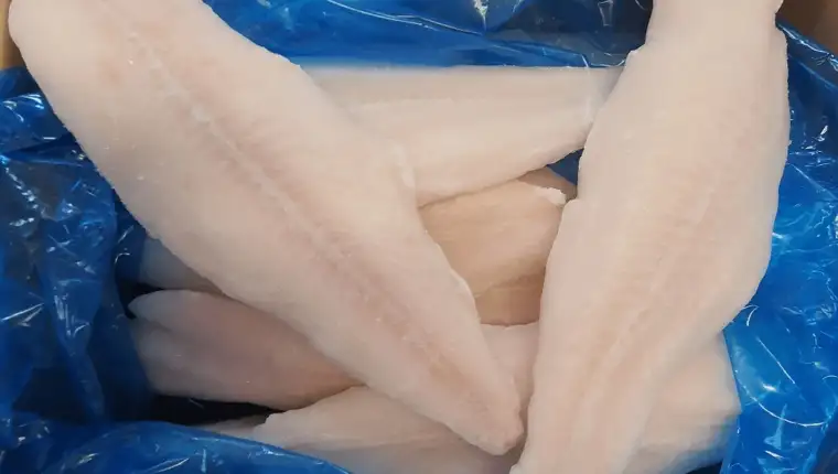 pangasius
