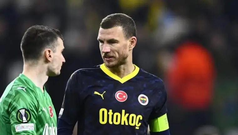 dzeko livakovic