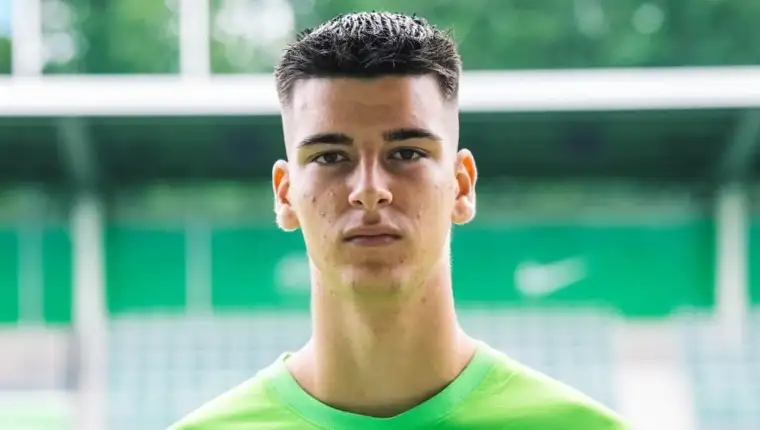ibrisimovic