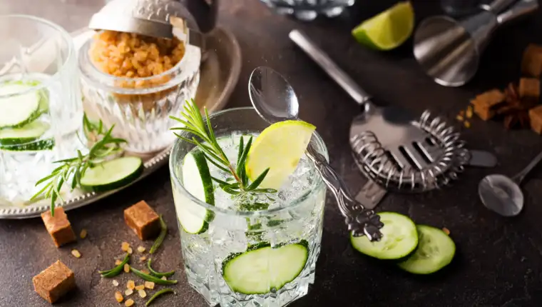 gin tonik freepik
