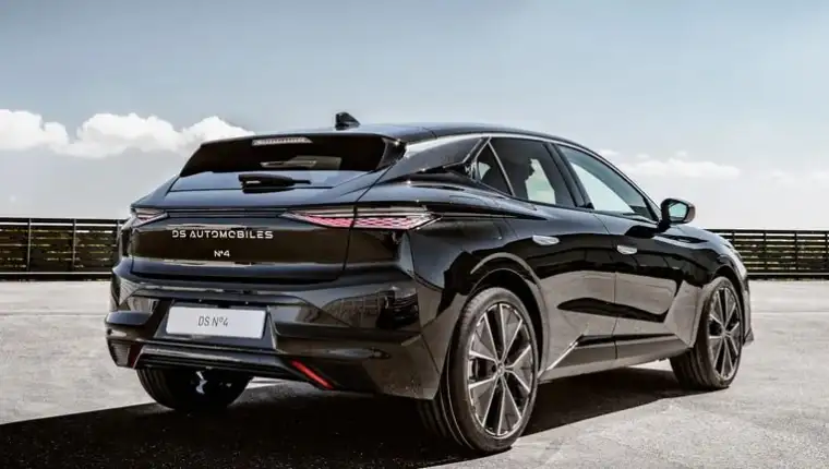 ds model