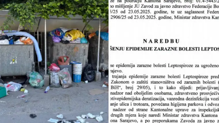 smece 1