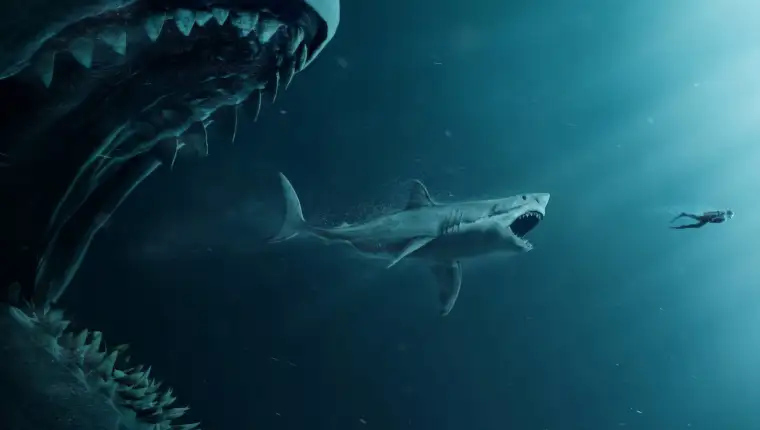 great-white-sharks-chasing-little-white-sharks