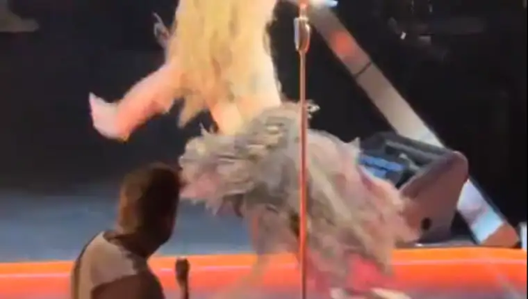 shakira