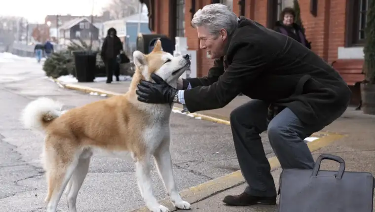 hachiko