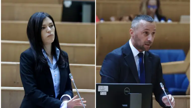 sanja vulic milorad kojic