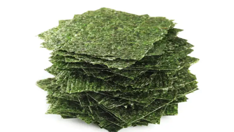 alga freepik