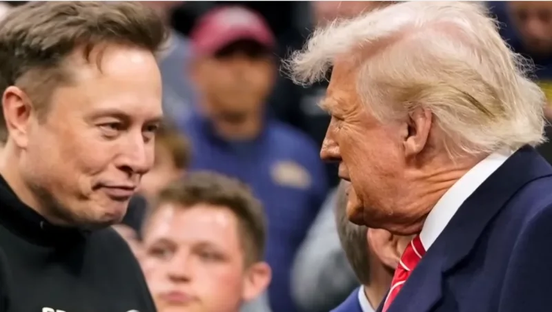 musk trump 5