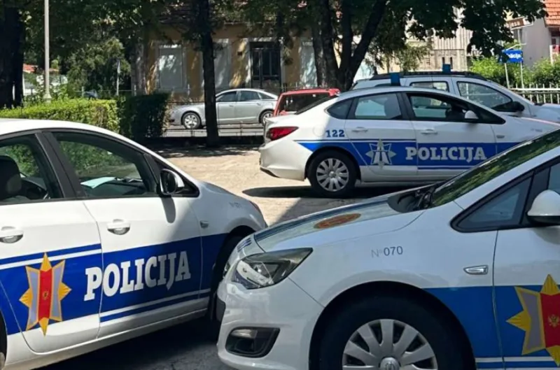 policija cg 1
