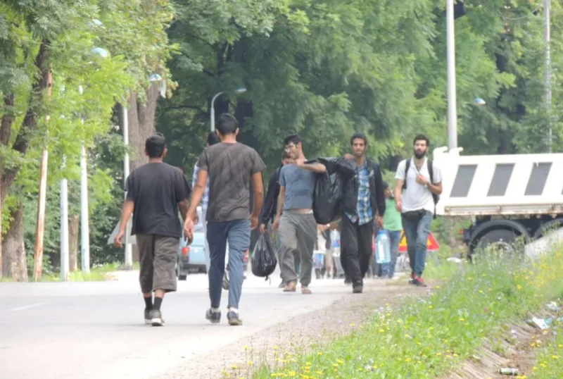 blazuj migranti 1