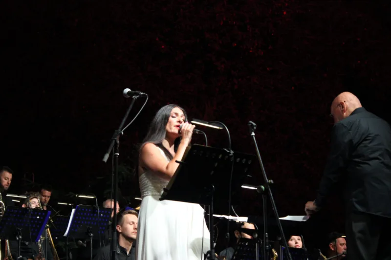 koncert 8