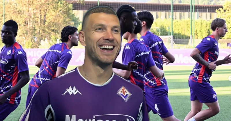 dzeko