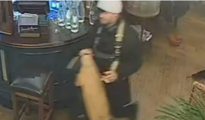 violina ukrqdena 1