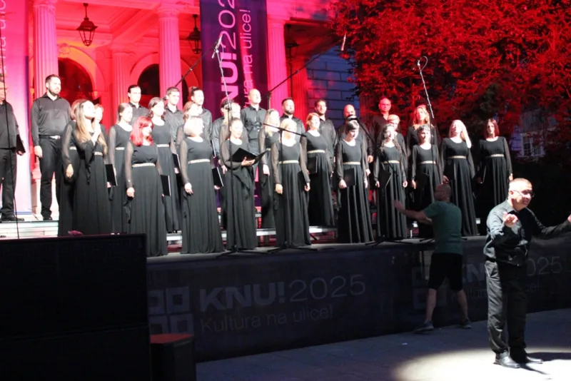 koncert 7