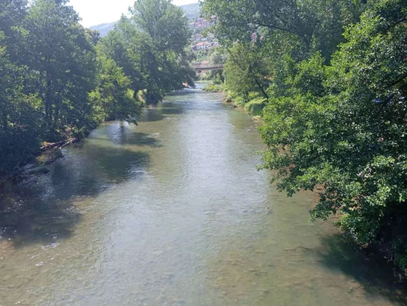 cehotina