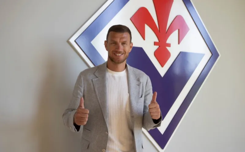 dzeko
