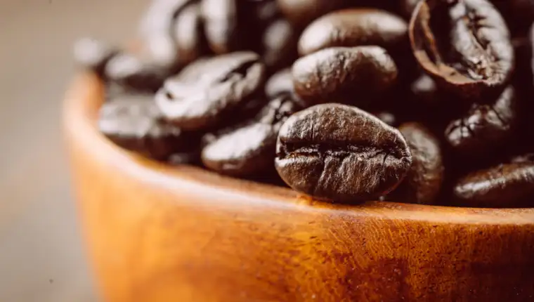 kafa freepik