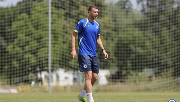 dzeko