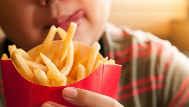 djeca junk food