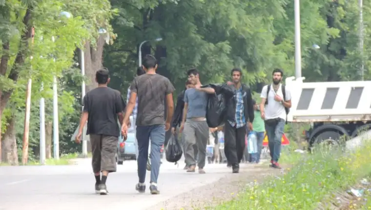 blazuj migranti 1