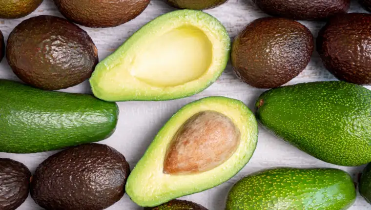 avokado freepik