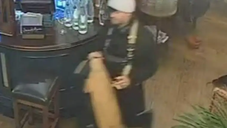violina ukrqdena 1