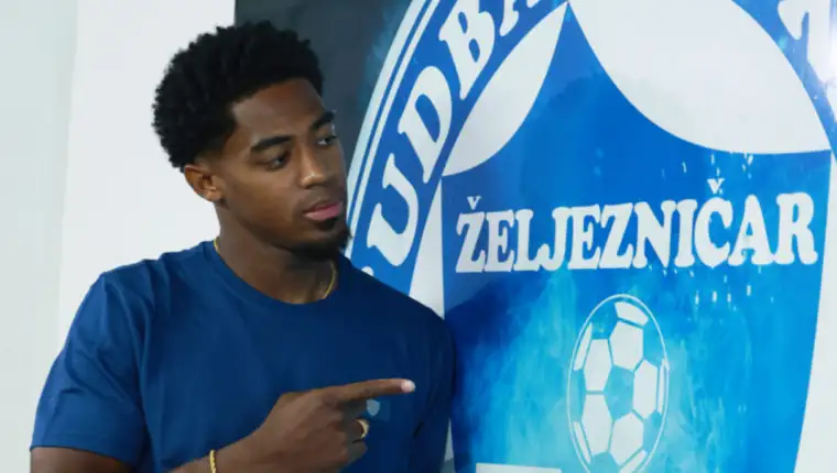 seedorf zeljo
