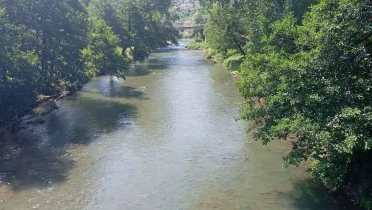 cehotina