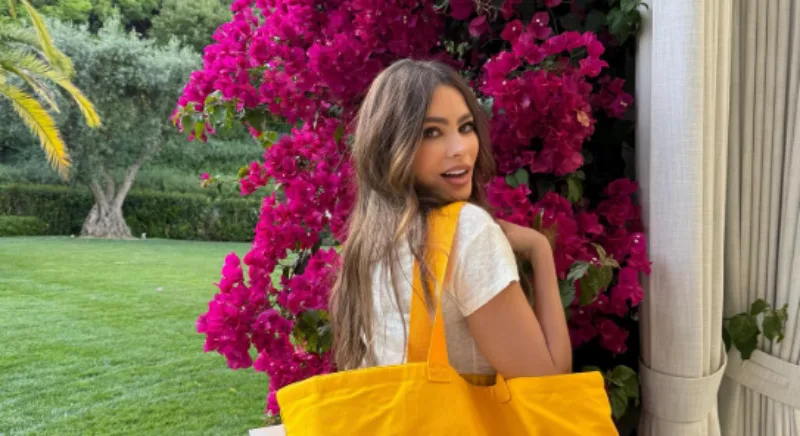 sofia vergara inst