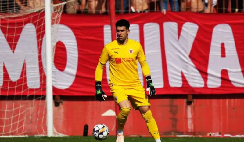 hadzikic 1