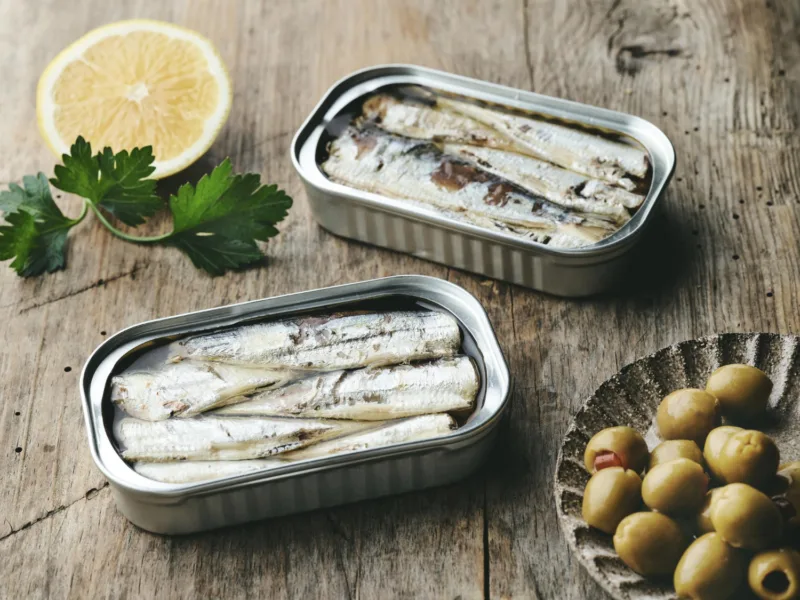 sardine freepik