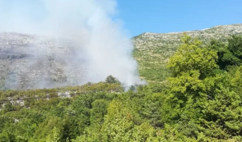pozart trebinje q1