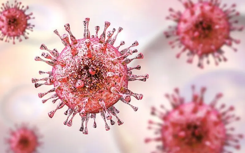 virus herpesa