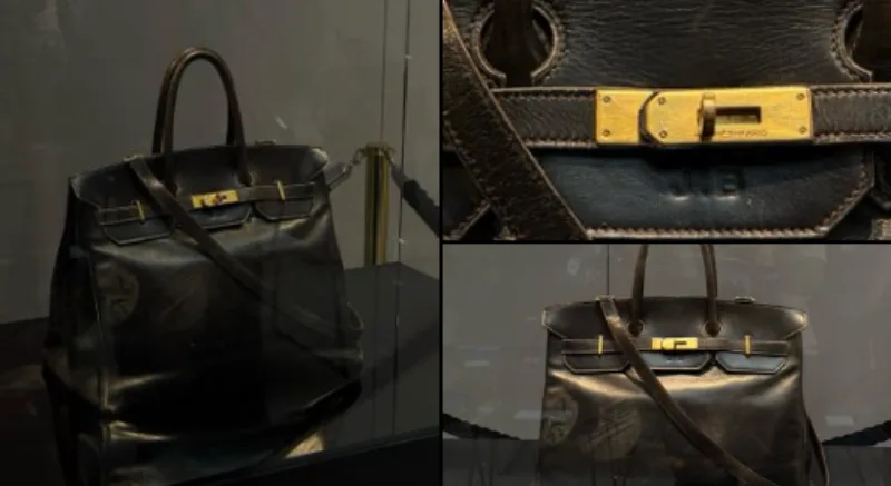 birkin x