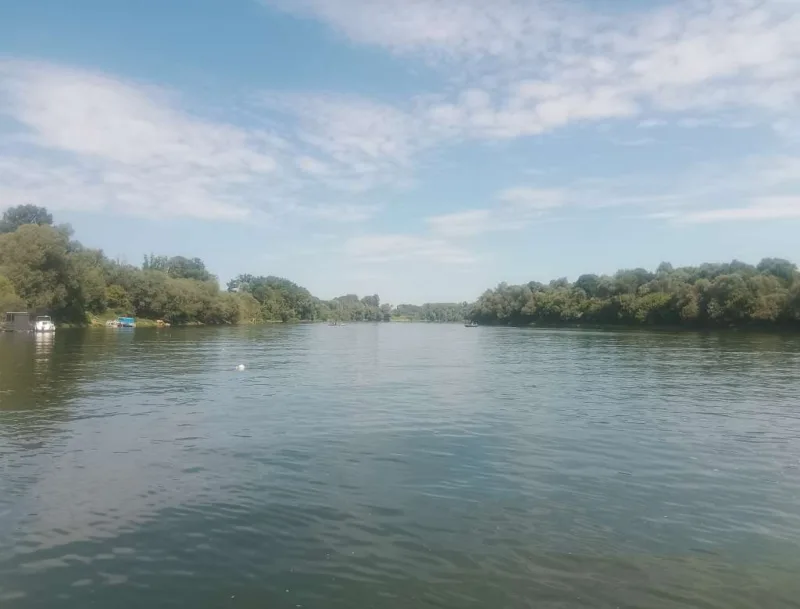 sava
