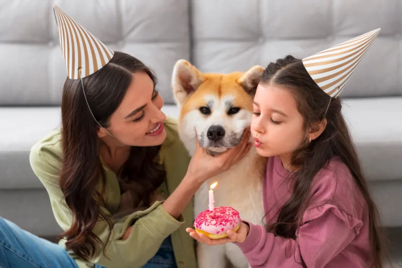 pas freepik