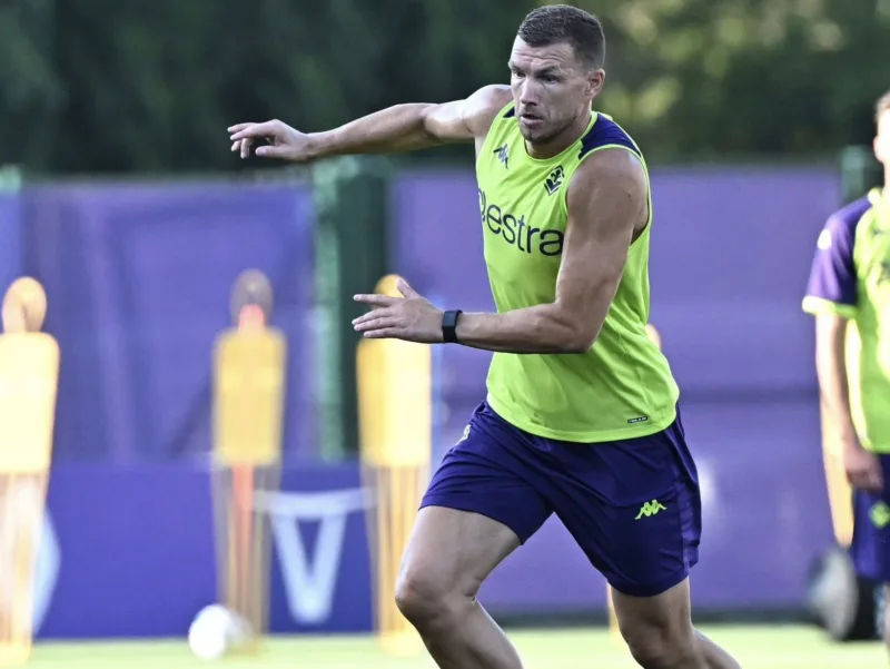 dzeko5