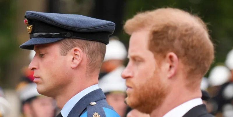 prinčevi harry i william