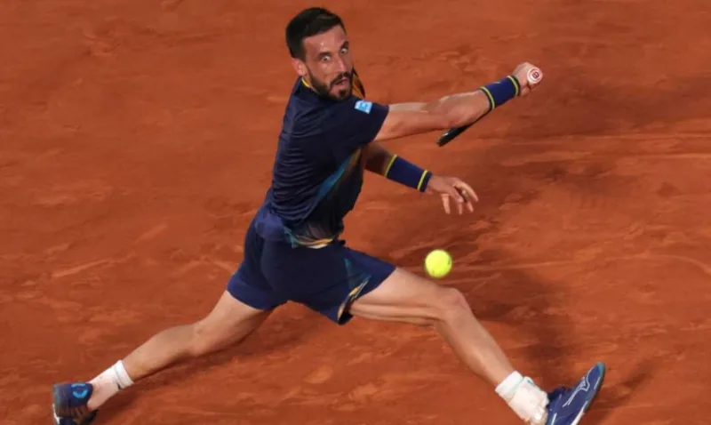 dzumhur 5