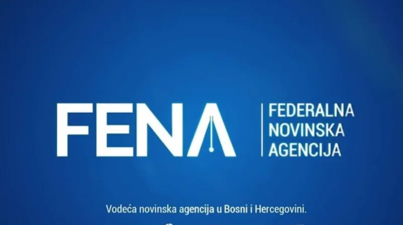 fena 6