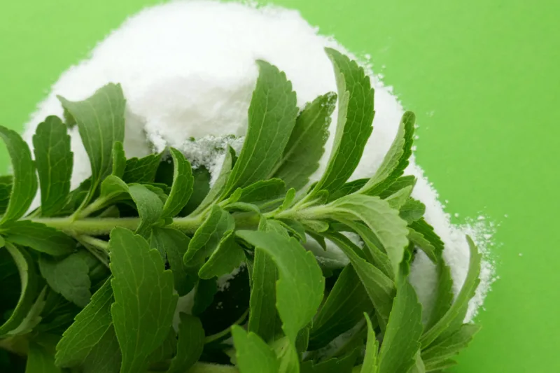 stevia freepik