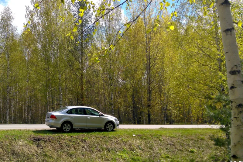 auto freepik
