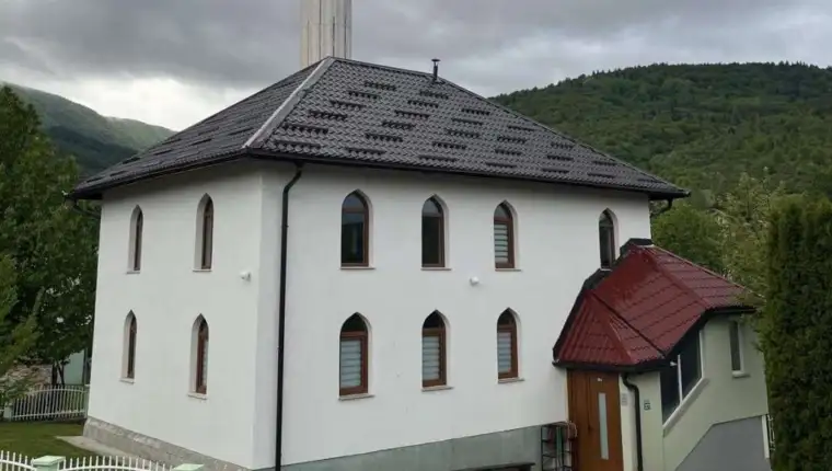 dejcici